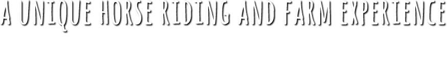 Reinsdown Horseriding